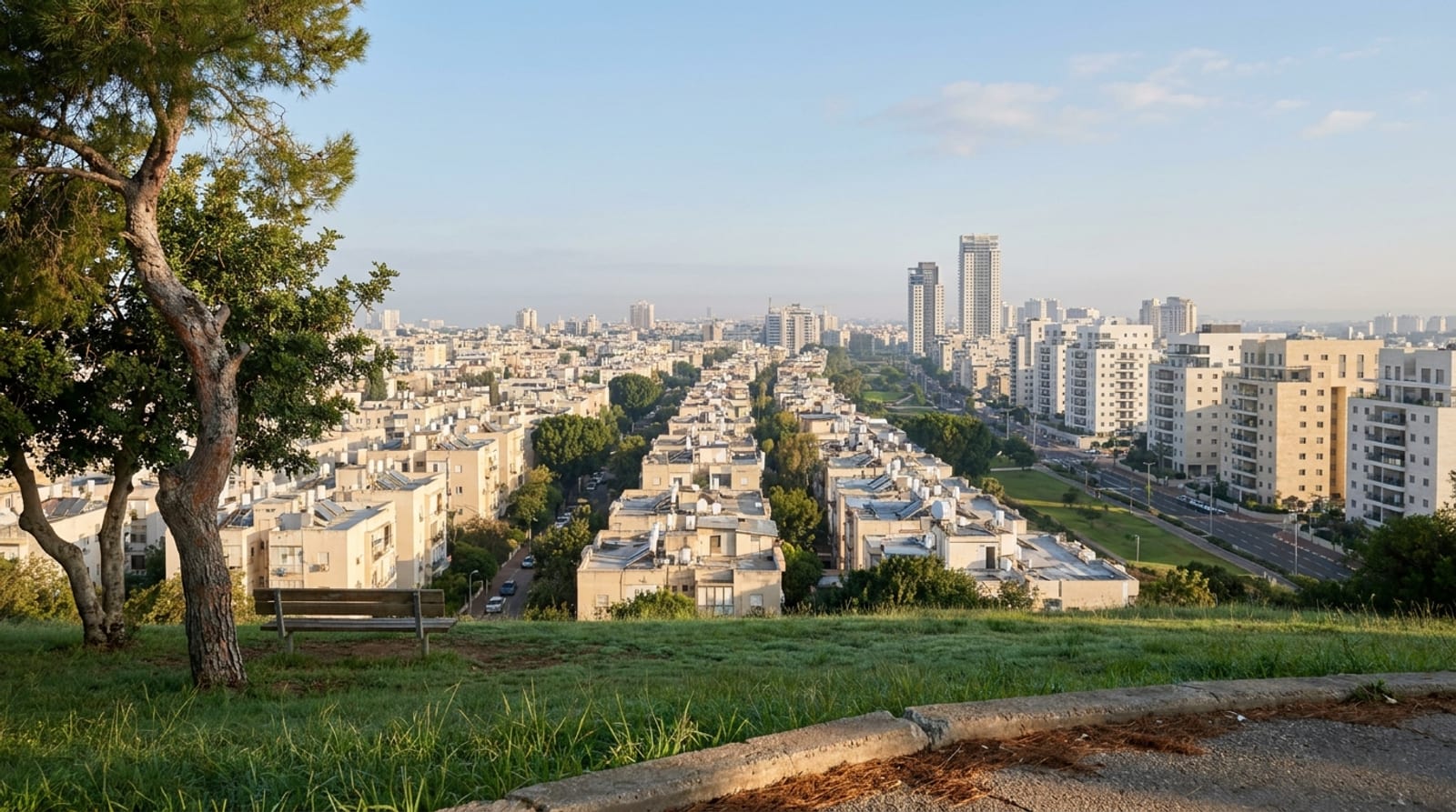 העיר מגבעה בפארק בבוקר: שיכונים ותיקים עם דודי שמש, ובתוכם בנייני התחדשות חדשים וכמה מגדלי מגורים